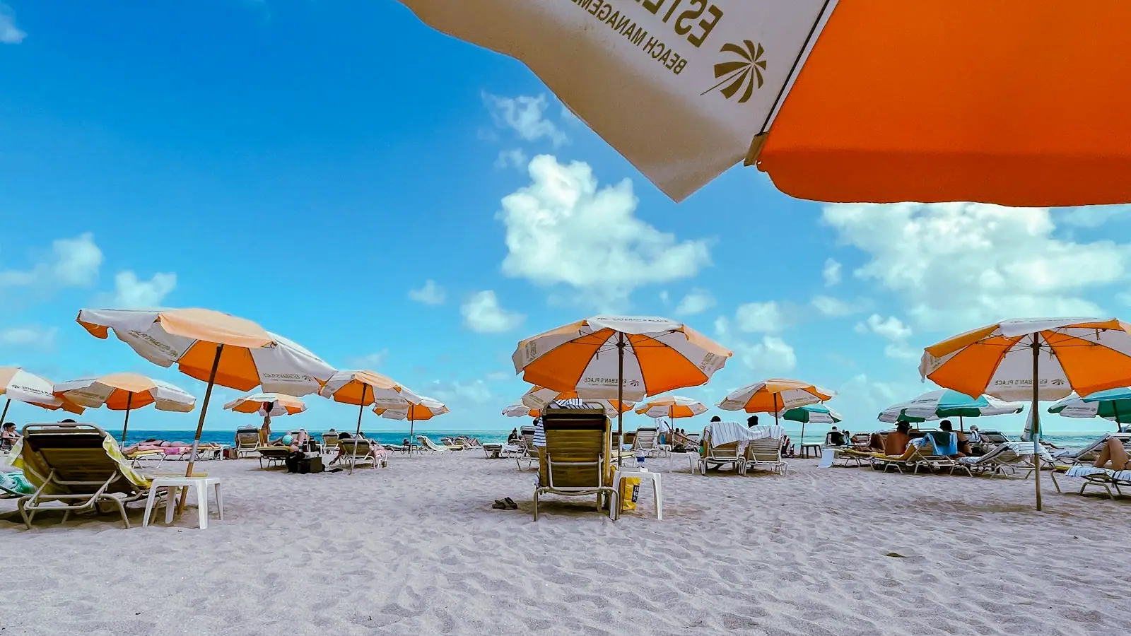 Rows of beach chairs and umbrellas set out on the sand at Miami Beach