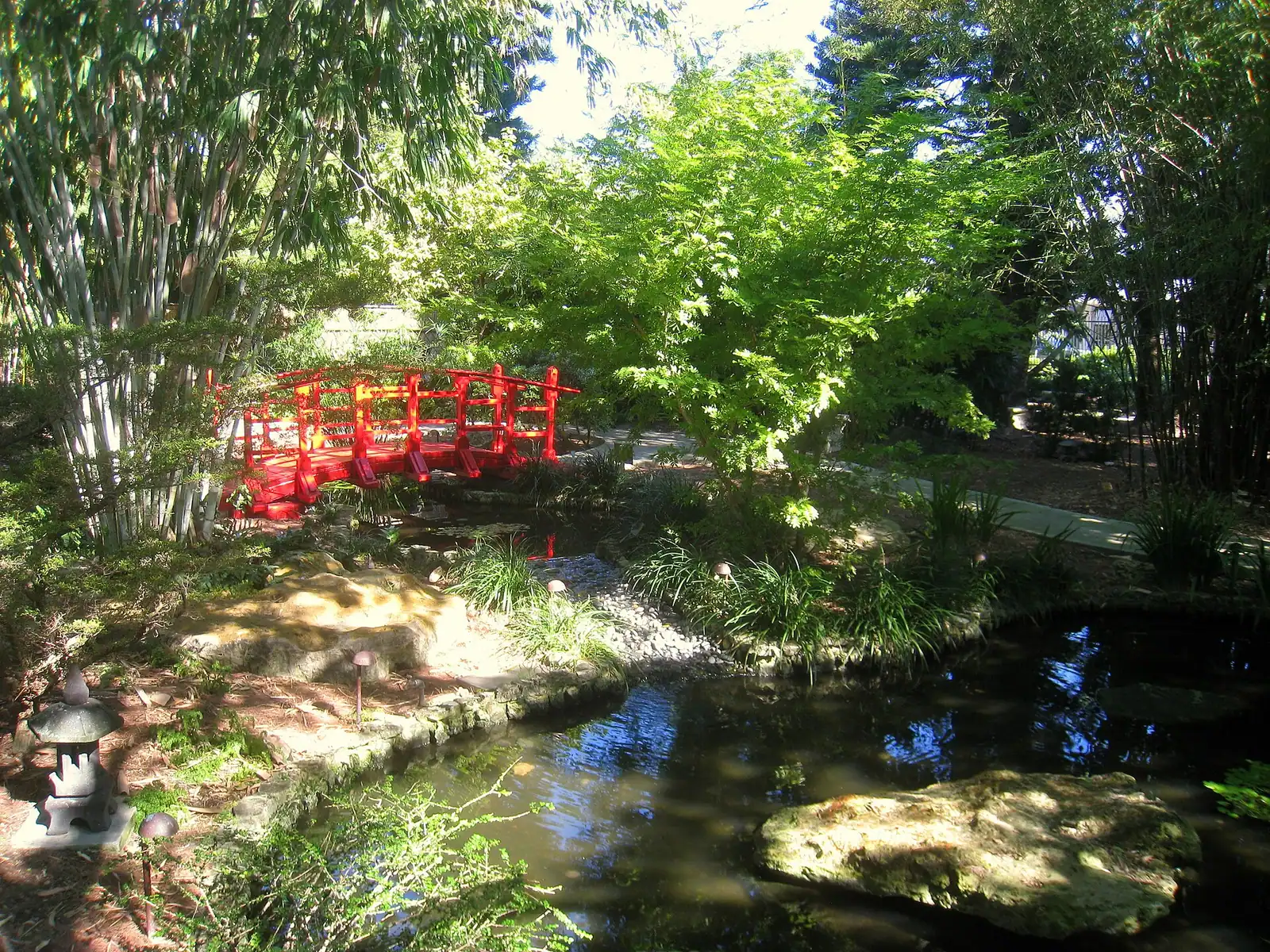 A red timber bridge crossing the pond in the Japanese garden at the Miami Beach Botanical Garden