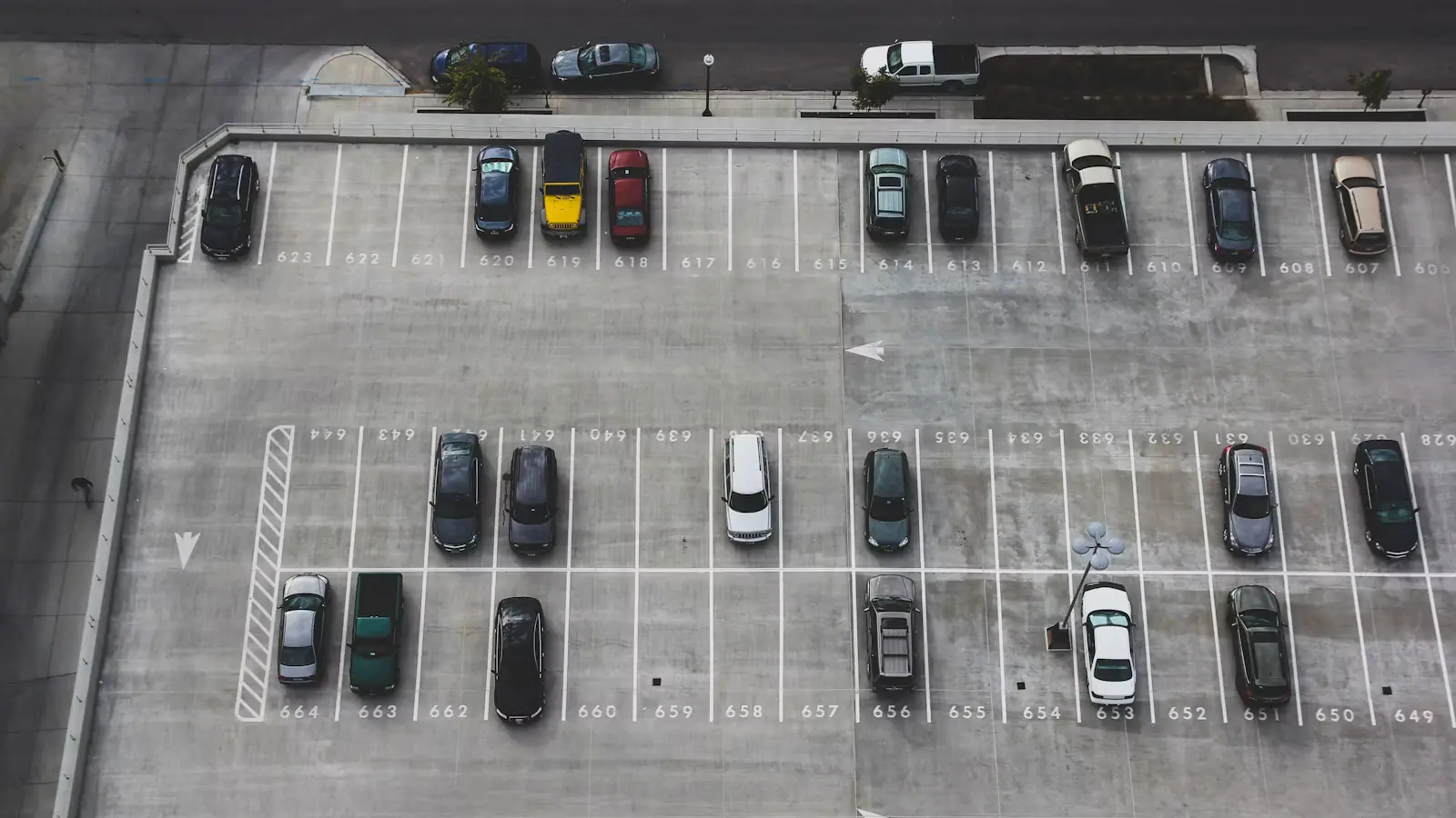 Cars parked along a palm-lined street beside a multi-storey concrete parking structure